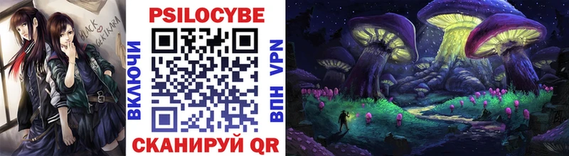Псилоцибиновые грибы Psilocybine cubensis  Купить где  Новотроицк 
