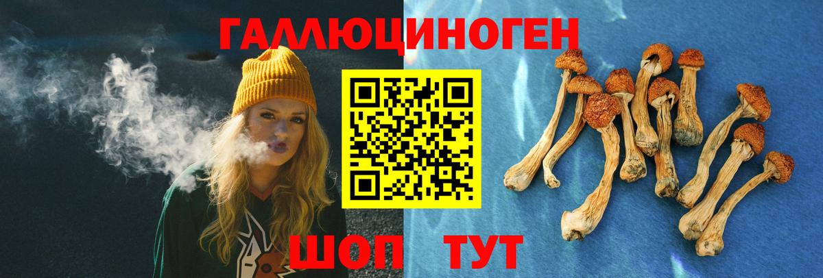 Псилоцибиновые грибы Psilocybe Новотроицк