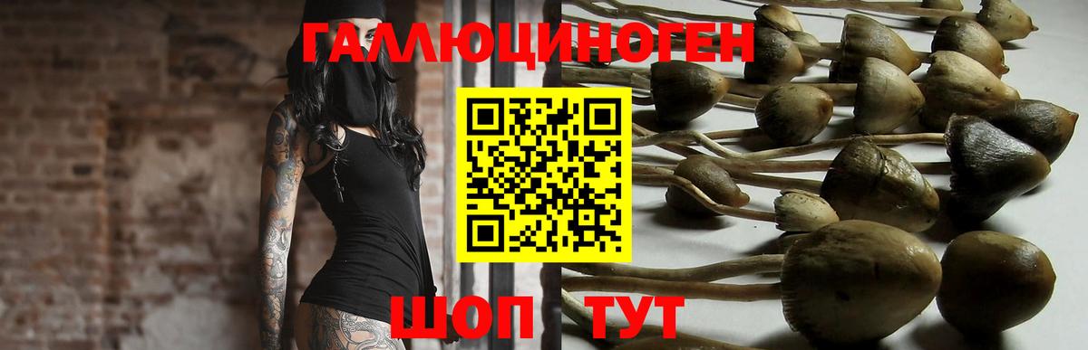 Псилоцибиновые грибы мицелий  Вход с VPN  Новотроицк 